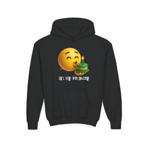 "It's My Birthday" Kids Hoodies  Sweatshirt